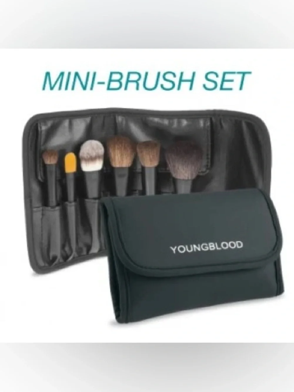 Youngblood Professional mini 6pc brush set